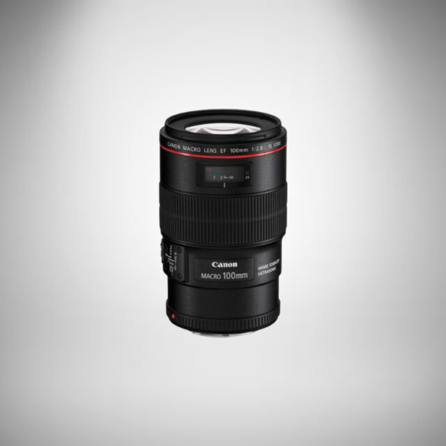 Canon 100 mm Macro F2.8 IS Lens