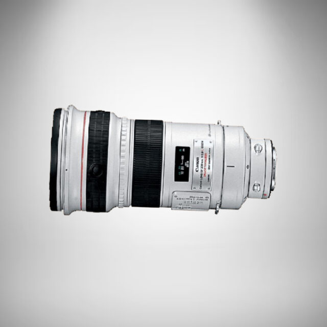 Canon EF 300mm f2.8 IS USM Lens