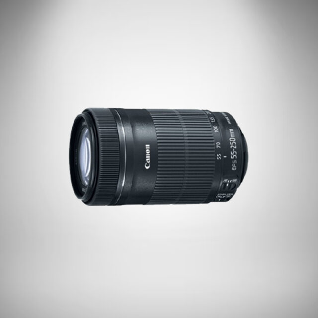 Canon EF-S 55-250mm f4-5.6 IS STM Lens