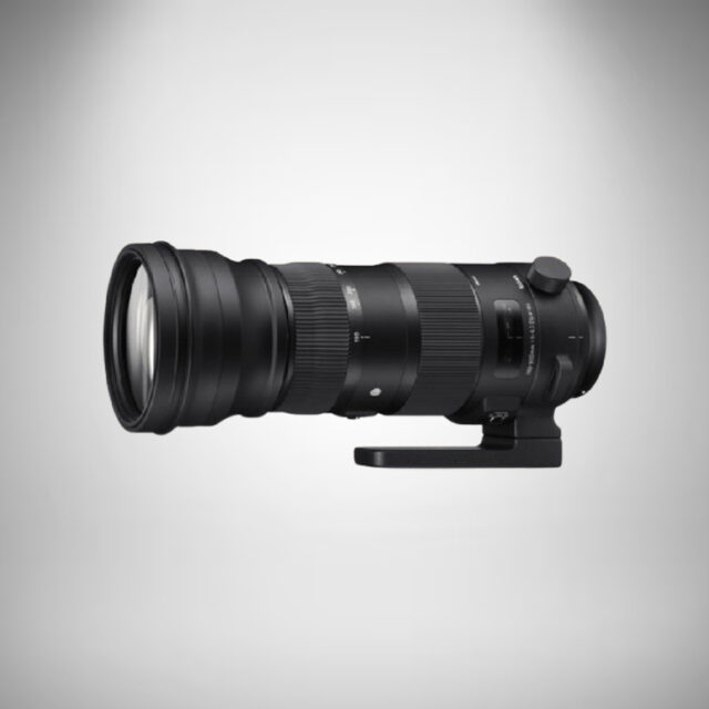 Sigma 150-600mm F5-6.3 DG OS HSM(C) Lens for Nikon Mount